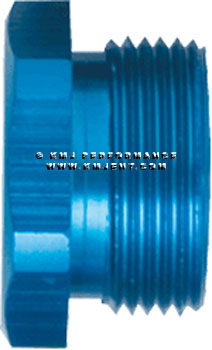 7/8-20 Inlet Plug -Blank