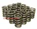 SBC Chevy HP Valve Springs Up to 600 Lift NEW