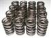 1.44" Dual Valve Springs .525-.600 Lift Cam SBC